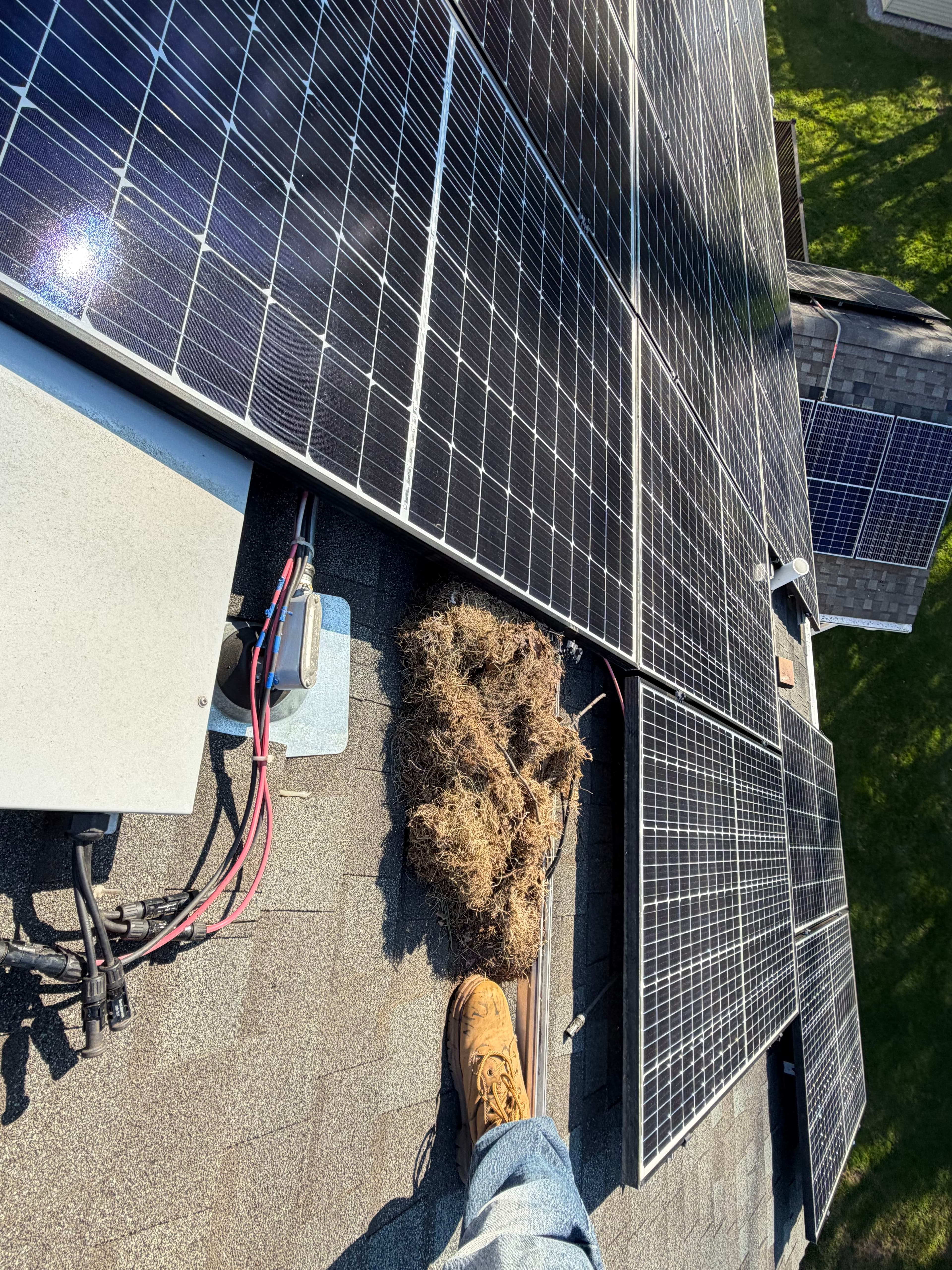 Featured post - Why Critter Guard Installation Matters After A Tough Winter