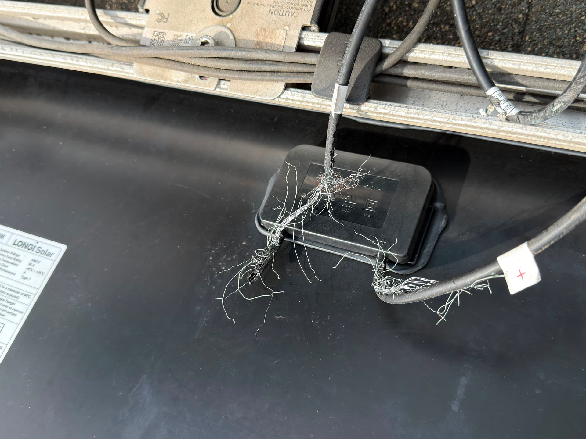 Squirrel Damage to Solar Panels Is a Real Problem in Stratford CT image