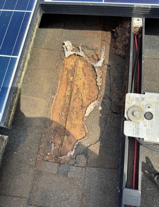 Expert Solar Panel Critter Damage Repair image