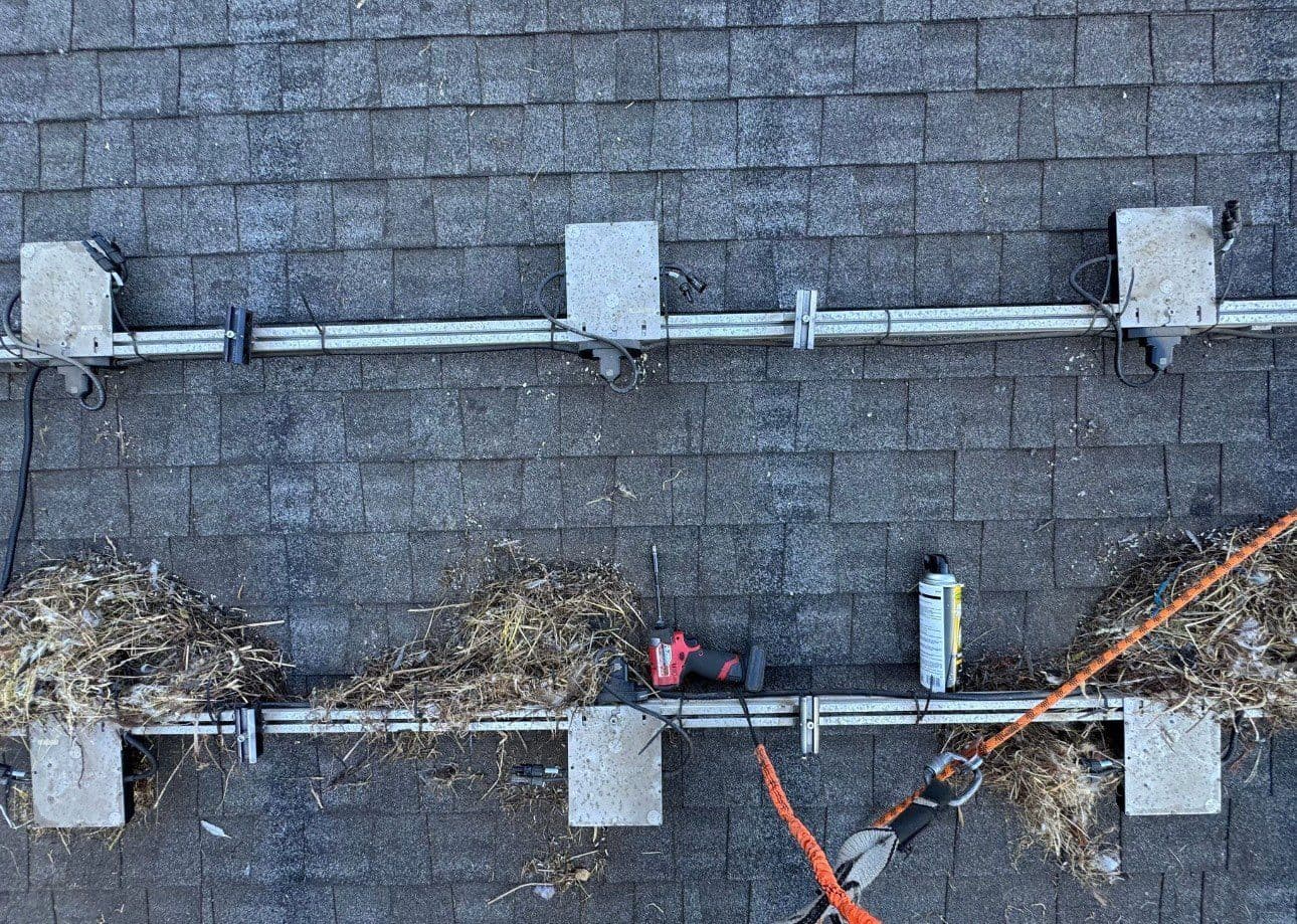 Discover Hidden Solar Risks with Critter Guards image