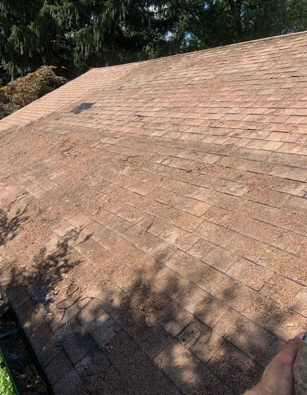 Efficient Solar Panel Removal and Reinstallation image