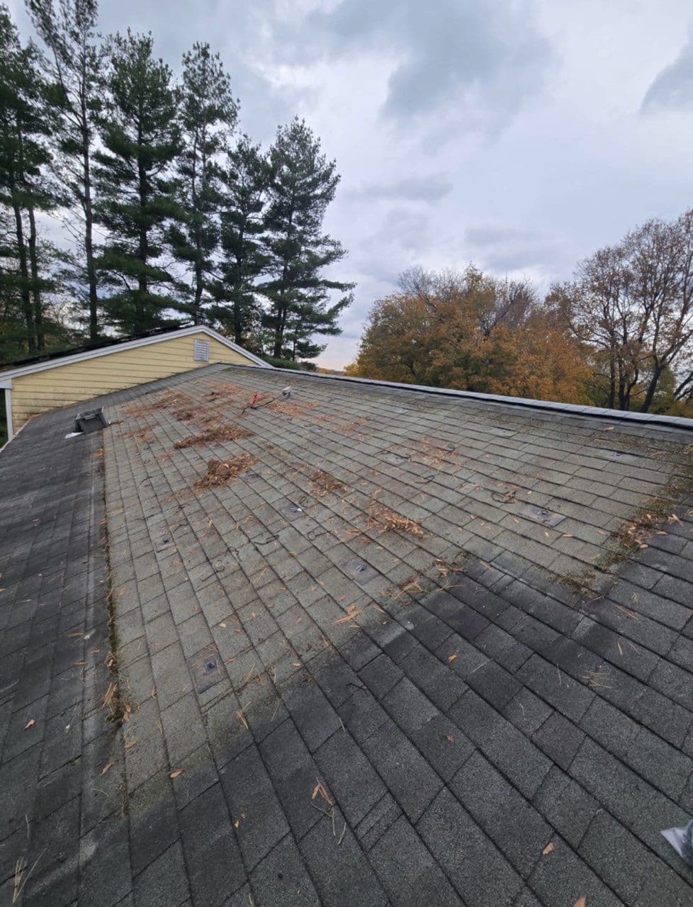 Gallery photos for Seamless Solar Panel Reinstallation and Roof Upgrade: Image #1