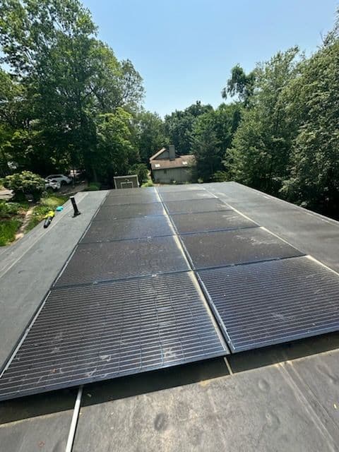 Essential Solar Panel Cleaning Northeast image