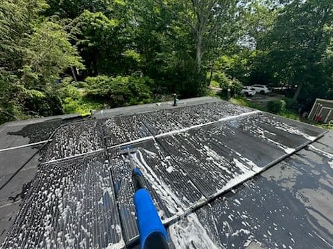Gallery photos for Essential Solar Panel Cleaning Northeast: Image #1
