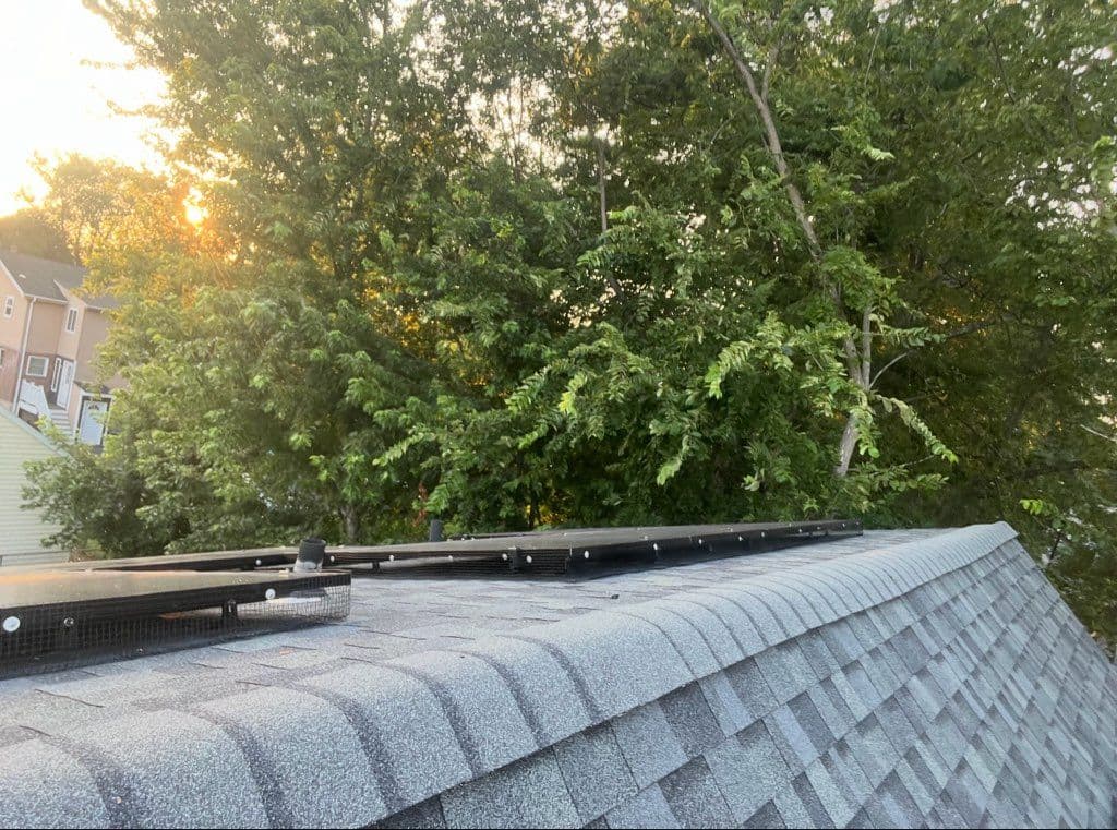 Critter Guard Installation for Solar Protection