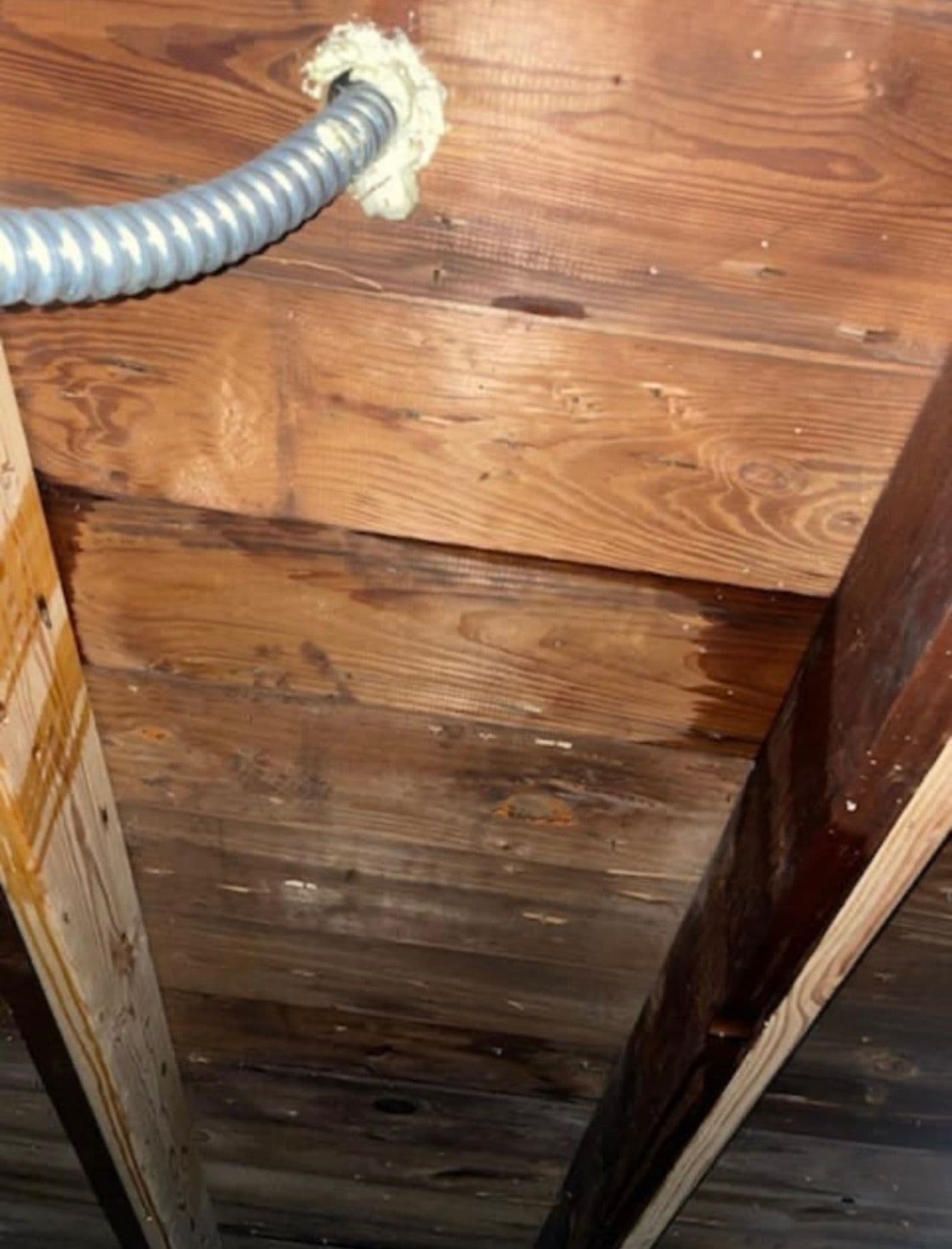 Expert Roof Leak Investigation Services image